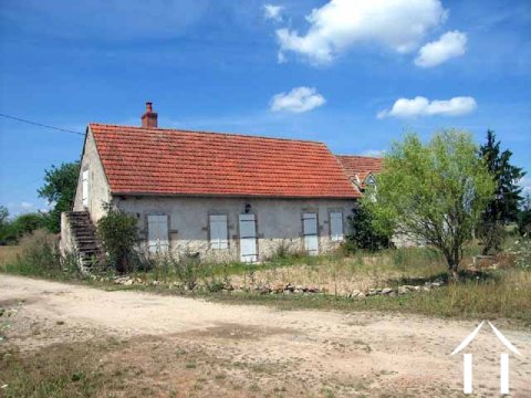 Unique character property 72h