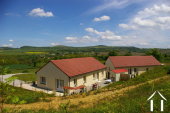 Two modern bungalows surrounded by vineyards