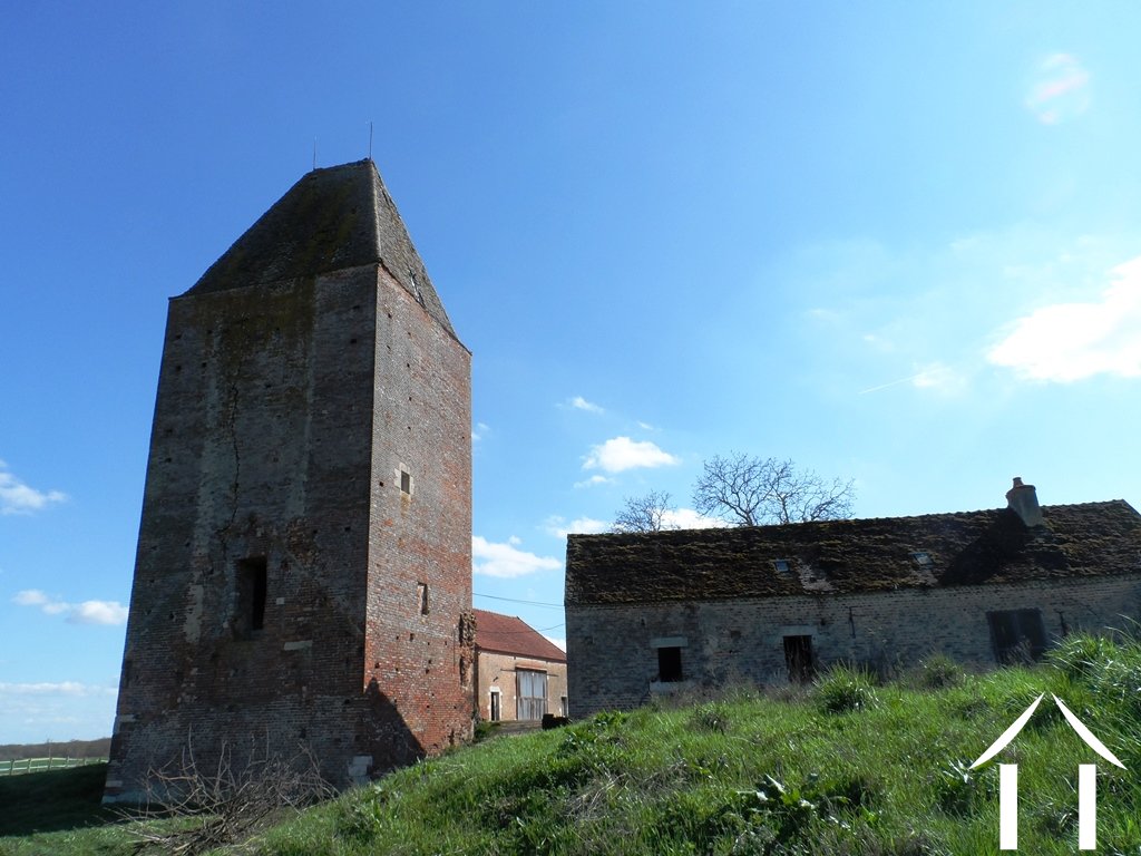 Castle, estate for sale verdun sur le doubs, burgundy 12118