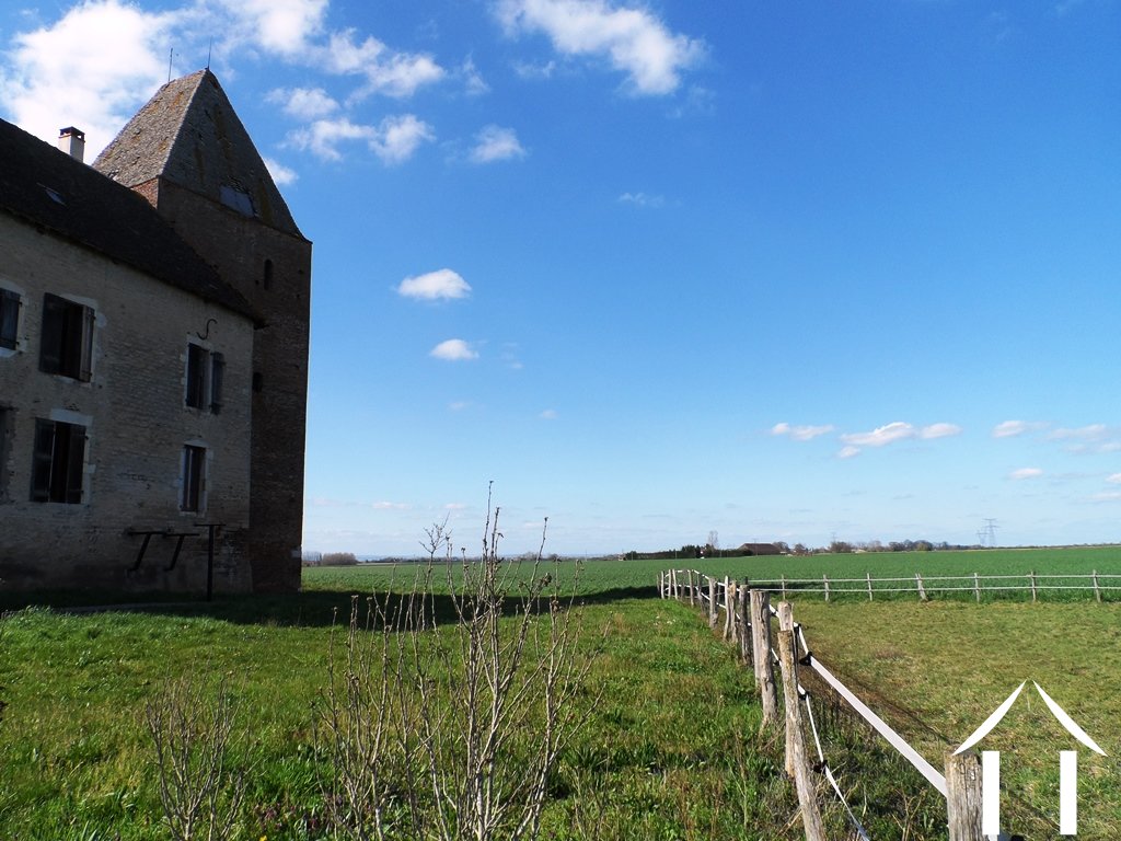Castle, estate for sale verdun sur le doubs, burgundy 12118